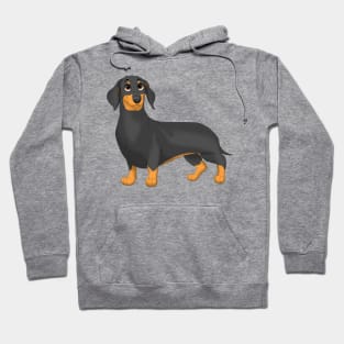 Black & Tan Smooth Dachshund Dog Hoodie